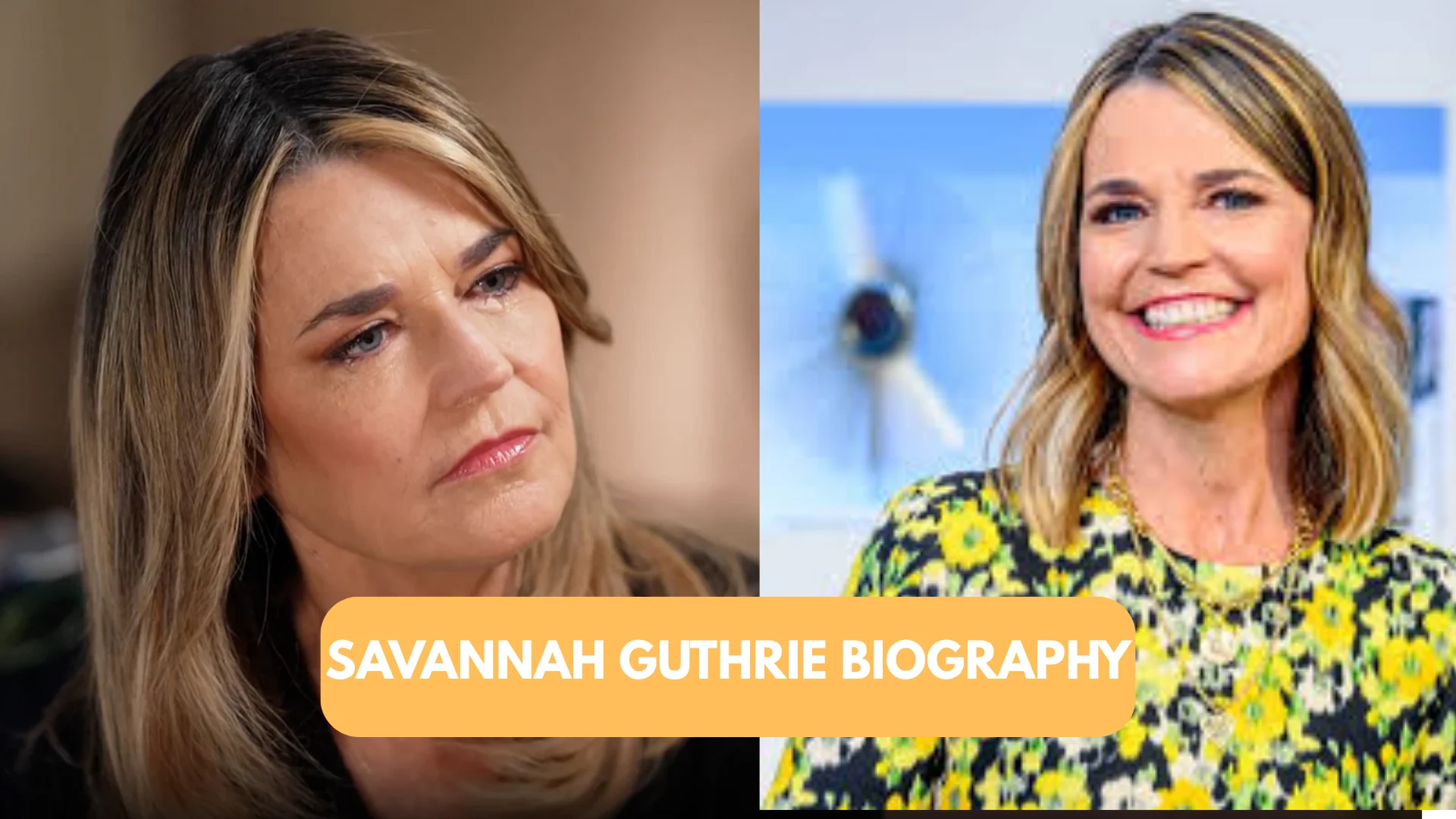 Savannah Guthrie Biography
