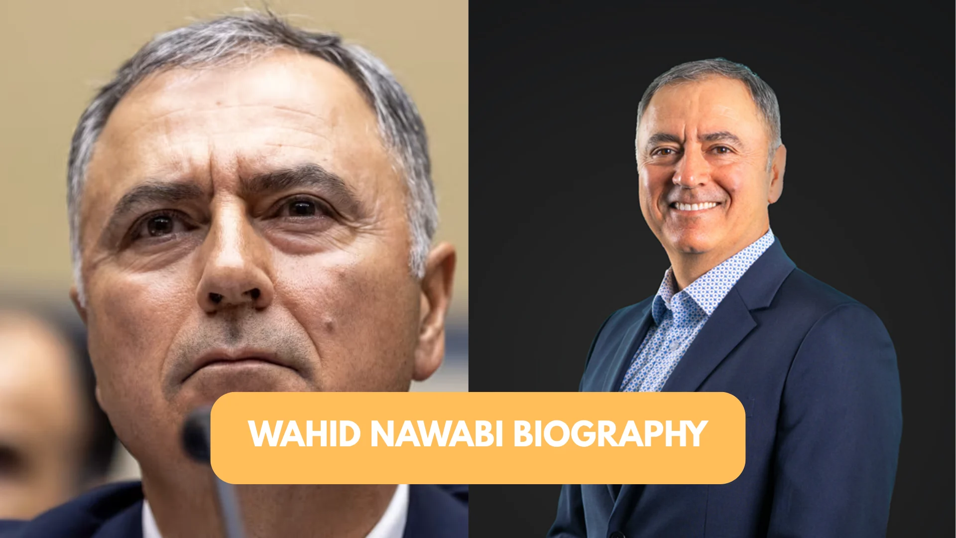 Wahid Nawabi Biography