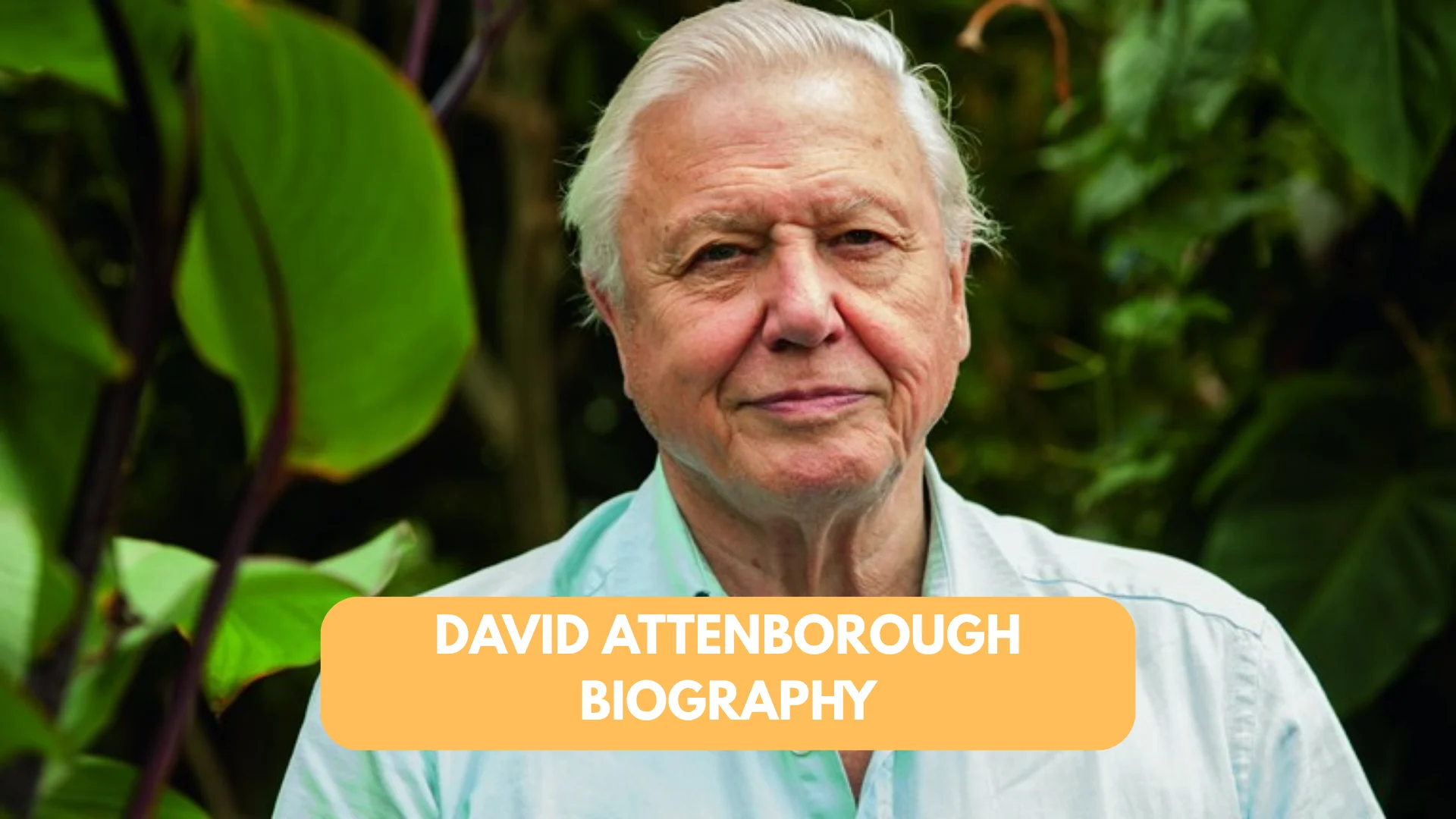 david attenborough biography
