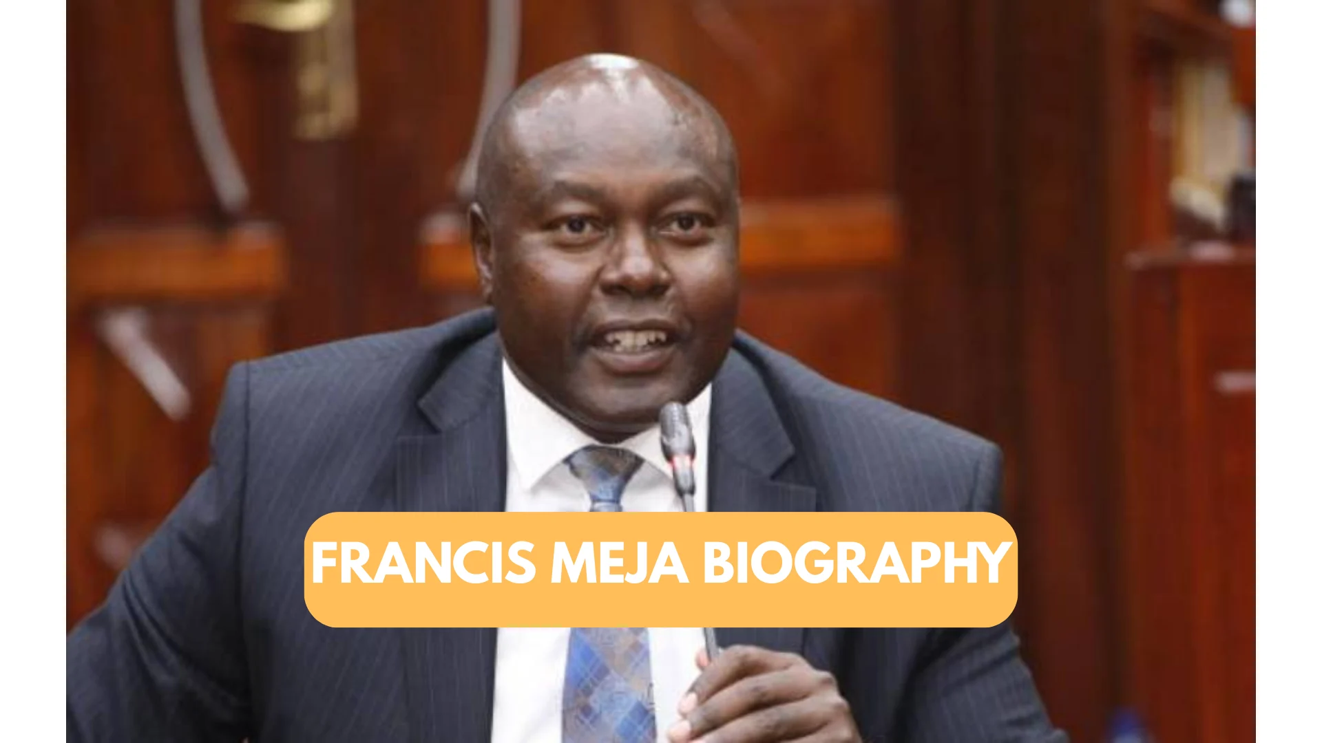 francis meja biography